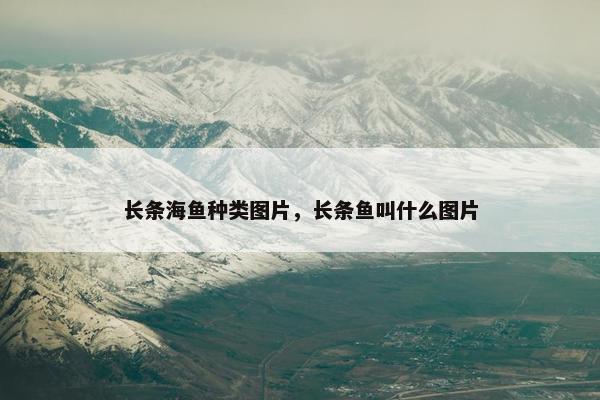 长条海鱼种类图片，长条鱼叫什么图片