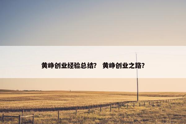 黄峥创业经验总结？ 黄峥创业之路？