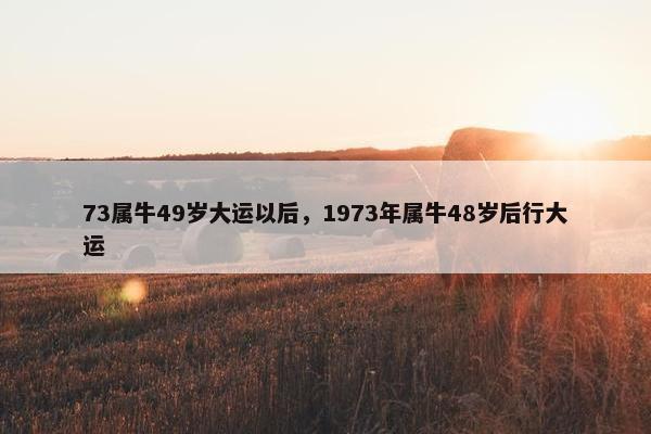 73属牛49岁大运以后，1973年属牛48岁后行大运