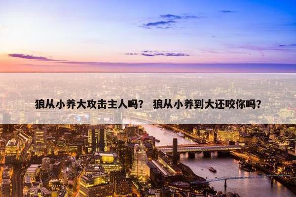 狼从小养大攻击主人吗？ 狼从小养到大还咬你吗？