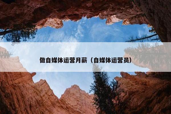 做自媒体运营月薪（自媒体运营员）