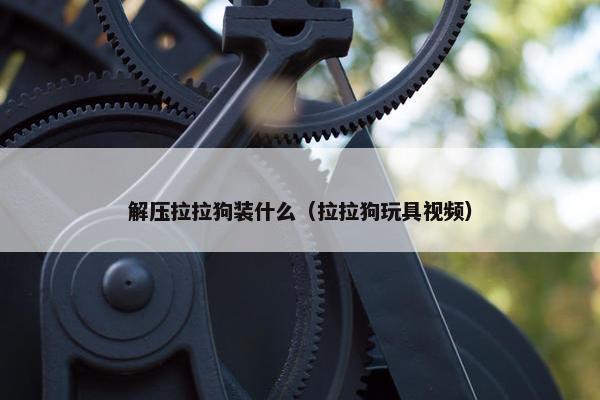 解压拉拉狗装什么（拉拉狗玩具视频）