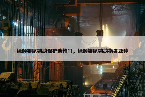 绿颊锥尾鹦鹉保护动物吗，绿颊锥尾鹦鹉指名亚种