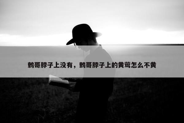 鹩哥脖子上没有，鹩哥脖子上的黄莺怎么不黄