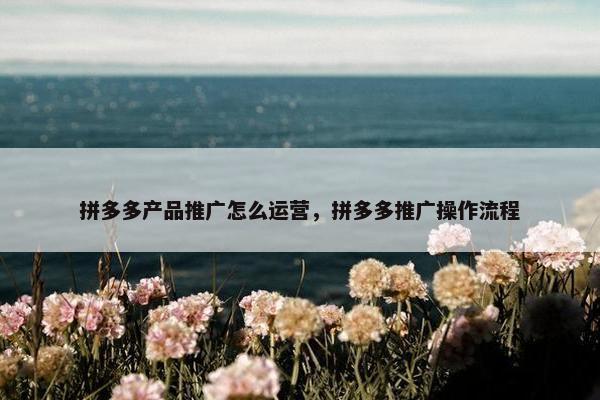 拼多多产品推广怎么运营，拼多多推广操作流程