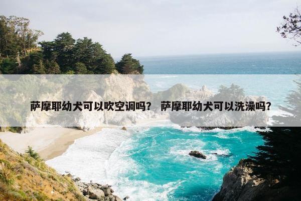 萨摩耶幼犬可以吹空调吗？ 萨摩耶幼犬可以洗澡吗？