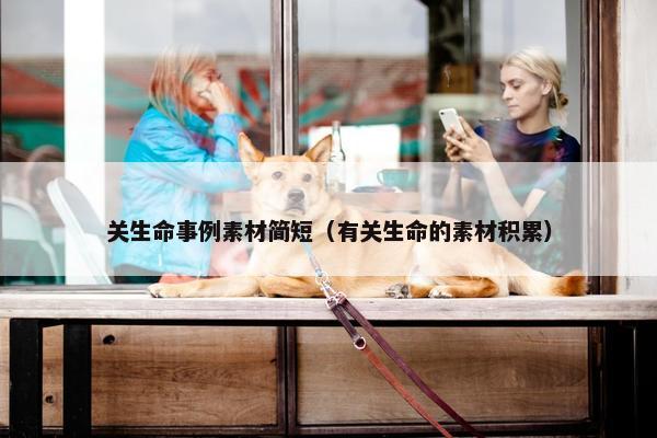 关生命事例素材简短（有关生命的素材积累）