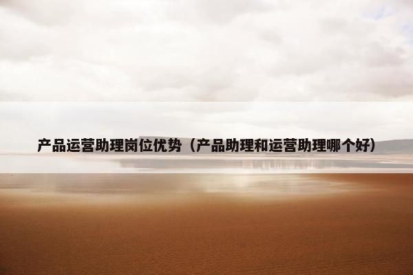 产品运营助理岗位优势（产品助理和运营助理哪个好）