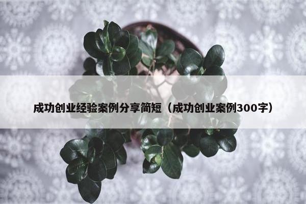 成功创业经验案例分享简短（成功创业案例300字）