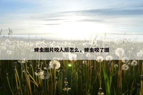 蜱虫图片咬人后怎么，蜱虫咬了图