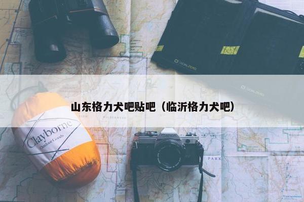 山东格力犬吧贴吧（临沂格力犬吧）