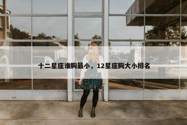 十二星座谁胸最小，12星座胸大小排名