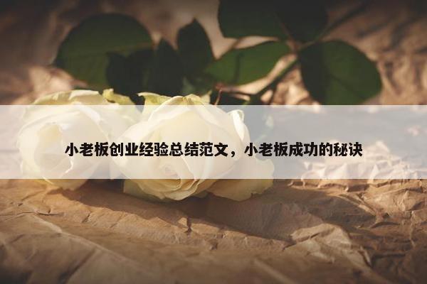 小老板创业经验总结范文，小老板成功的秘诀