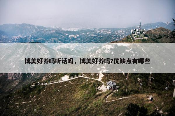 博美好养吗听话吗，博美好养吗?优缺点有哪些
