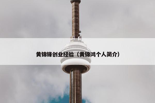 黄锦锋创业经验（黄锦鸿个人简介）