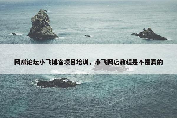 网赚论坛小飞博客项目培训，小飞网店教程是不是真的