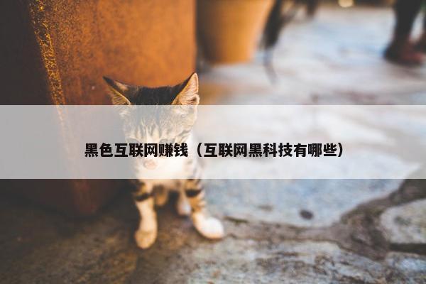 黑色互联网赚钱（互联网黑科技有哪些）