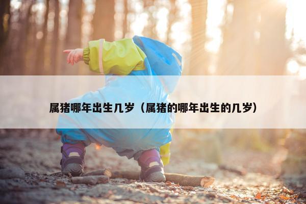属猪哪年出生几岁（属猪的哪年出生的几岁）