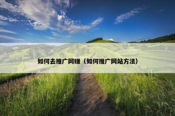 如何去推广网赚（如何推广网站方法）