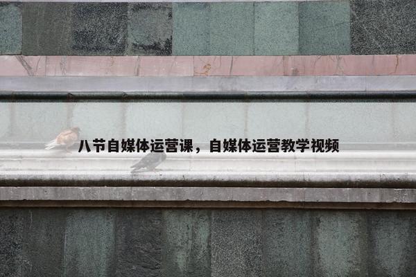 八节自媒体运营课，自媒体运营教学视频