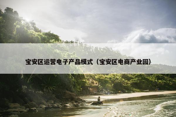 宝安区运营电子产品模式（宝安区电商产业园）
