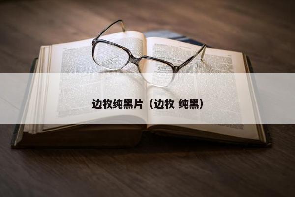 边牧纯黑片（边牧 纯黑）