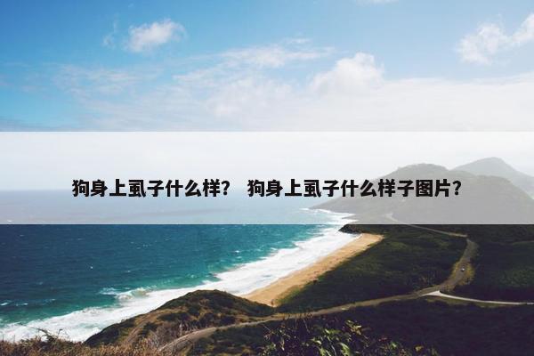 狗身上虱子什么样？ 狗身上虱子什么样子图片？