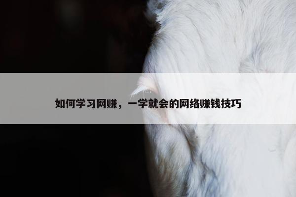 如何学习网赚，一学就会的网络赚钱技巧