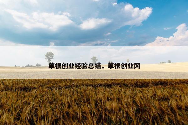 草根创业经验总结，草根创业网
