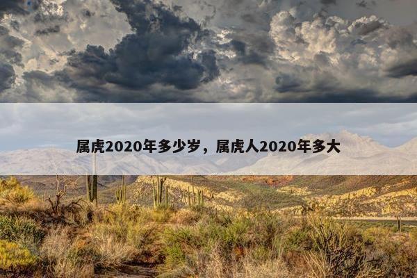 属虎2020年多少岁，属虎人2020年多大