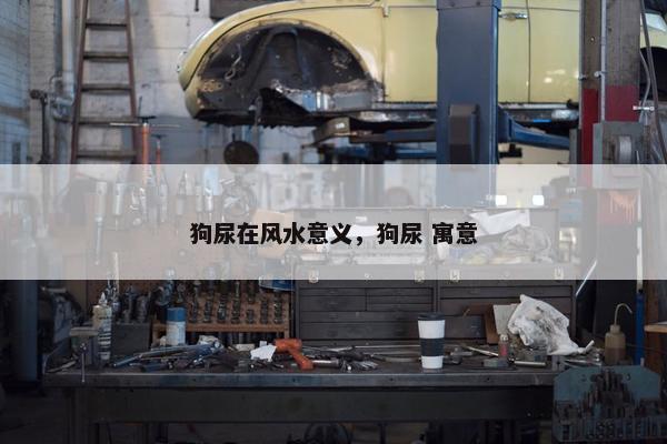狗尿在风水意义，狗尿 寓意