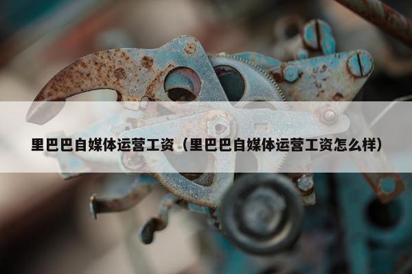里巴巴自媒体运营工资（里巴巴自媒体运营工资怎么样）