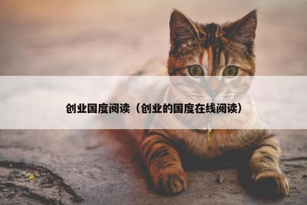 创业国度阅读（创业的国度在线阅读）