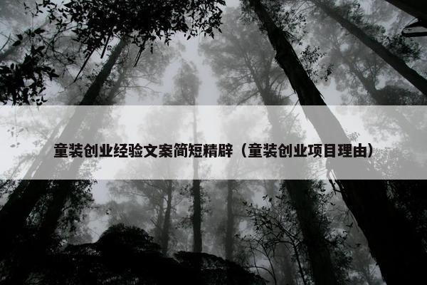 童装创业经验文案简短精辟（童装创业项目理由）