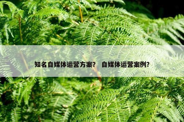 知名自媒体运营方案？ 自媒体运营案例？