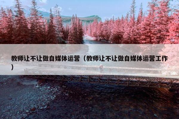 教师让不让做自媒体运营（教师让不让做自媒体运营工作）