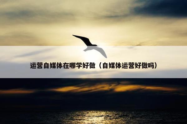 运营自媒体在哪学好做（自媒体运营好做吗）
