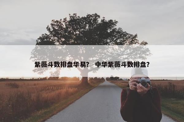 紫薇斗数排盘华易？ 中华紫薇斗数排盘？