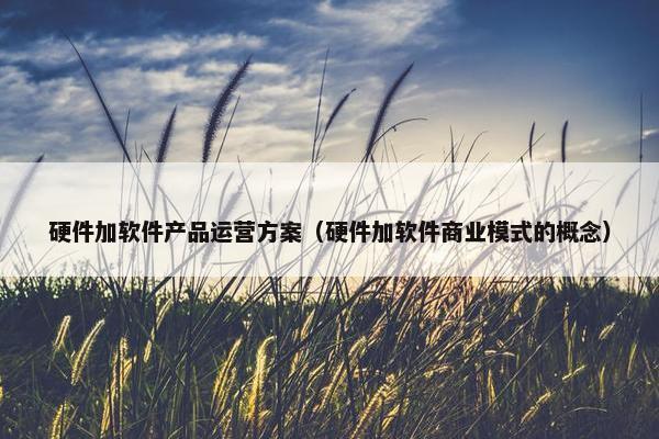 硬件加软件产品运营方案（硬件加软件商业模式的概念）