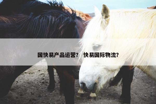 国快易产品运营？ 快易国际物流？