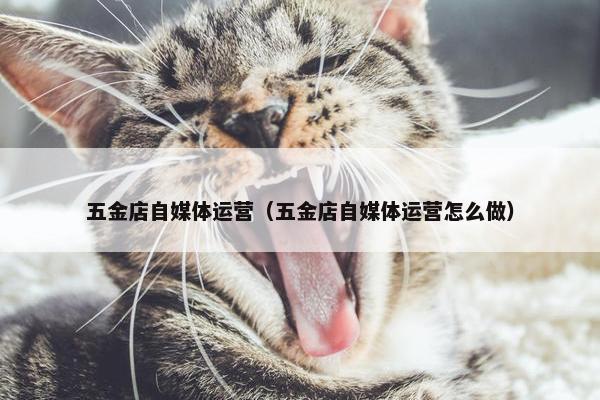 五金店自媒体运营（五金店自媒体运营怎么做）