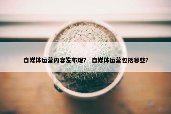 自媒体运营内容发布规？ 自媒体运营包括哪些？