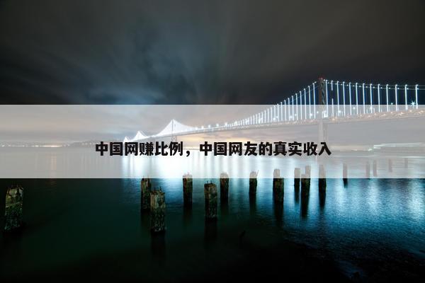 中国网赚比例，中国网友的真实收入