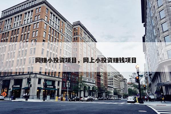 网赚小投资项目，网上小投资赚钱项目