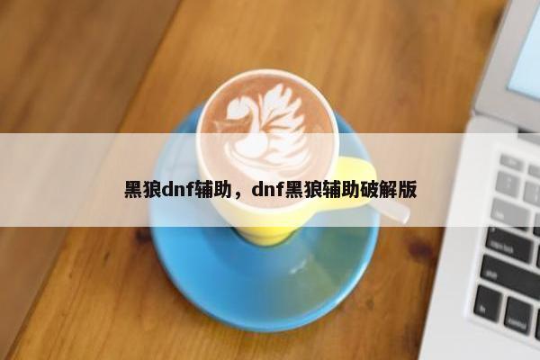 黑狼dnf辅助，dnf黑狼辅助破解版