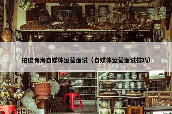 拍摄青海自媒体运营面试（自媒体运营面试技巧）