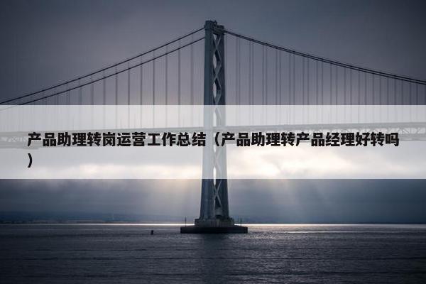 产品助理转岗运营工作总结（产品助理转产品经理好转吗）