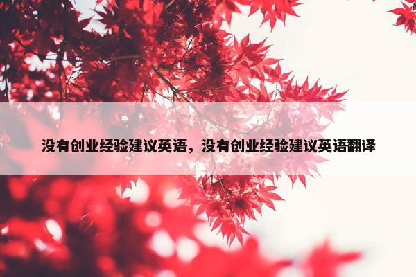 没有创业经验建议英语，没有创业经验建议英语翻译