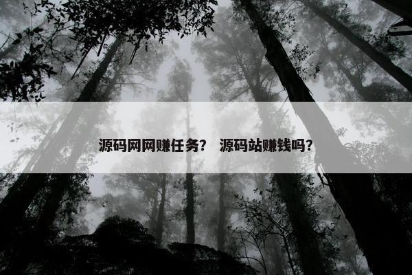 源码网网赚任务？ 源码站赚钱吗？
