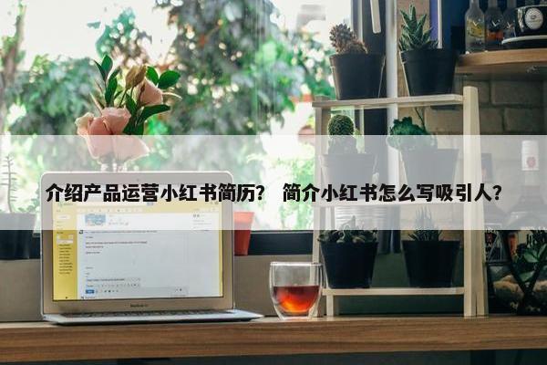 介绍产品运营小红书简历？ 简介小红书怎么写吸引人？